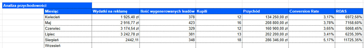 Analiza przychodowości kampanii Solidne Garaże Blaszane, 5 miesięcy wyników